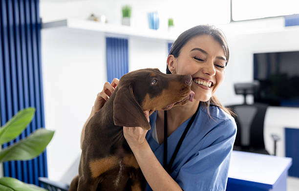 files/istockphoto-2218833152-612x612.jpg